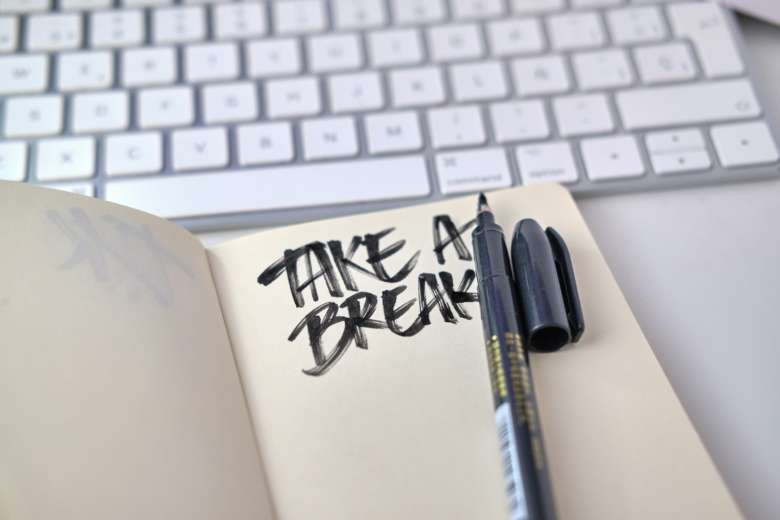 How to Say 'Take a Break' in Spanish: Essential Phrases and Tips