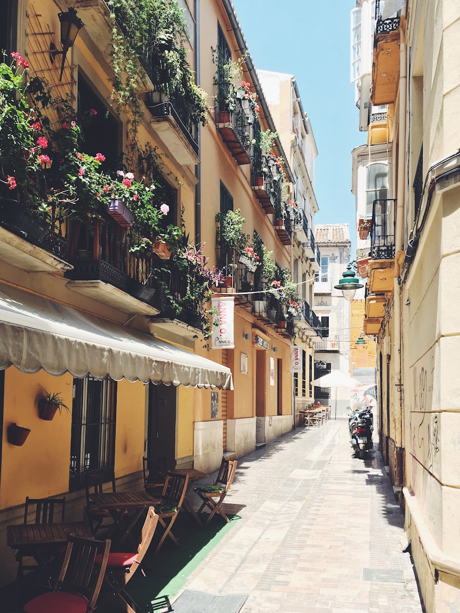 How to say to go in spanish 